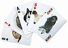 Cats 3D Playing Cards