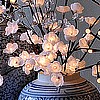 "Plum Tree Lights" (96)