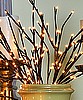 "Willow" Lights (60)